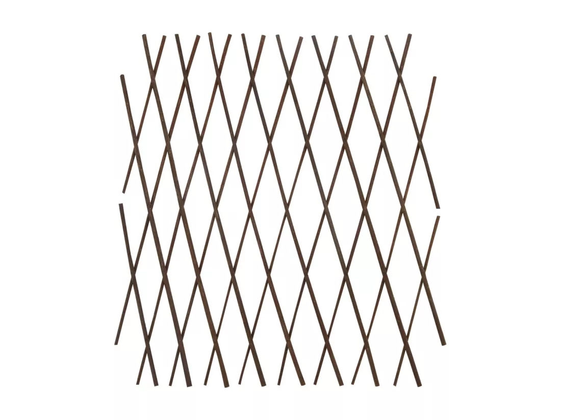 Cl?ture en treillis de saule 5 pcs 180x60 cm
