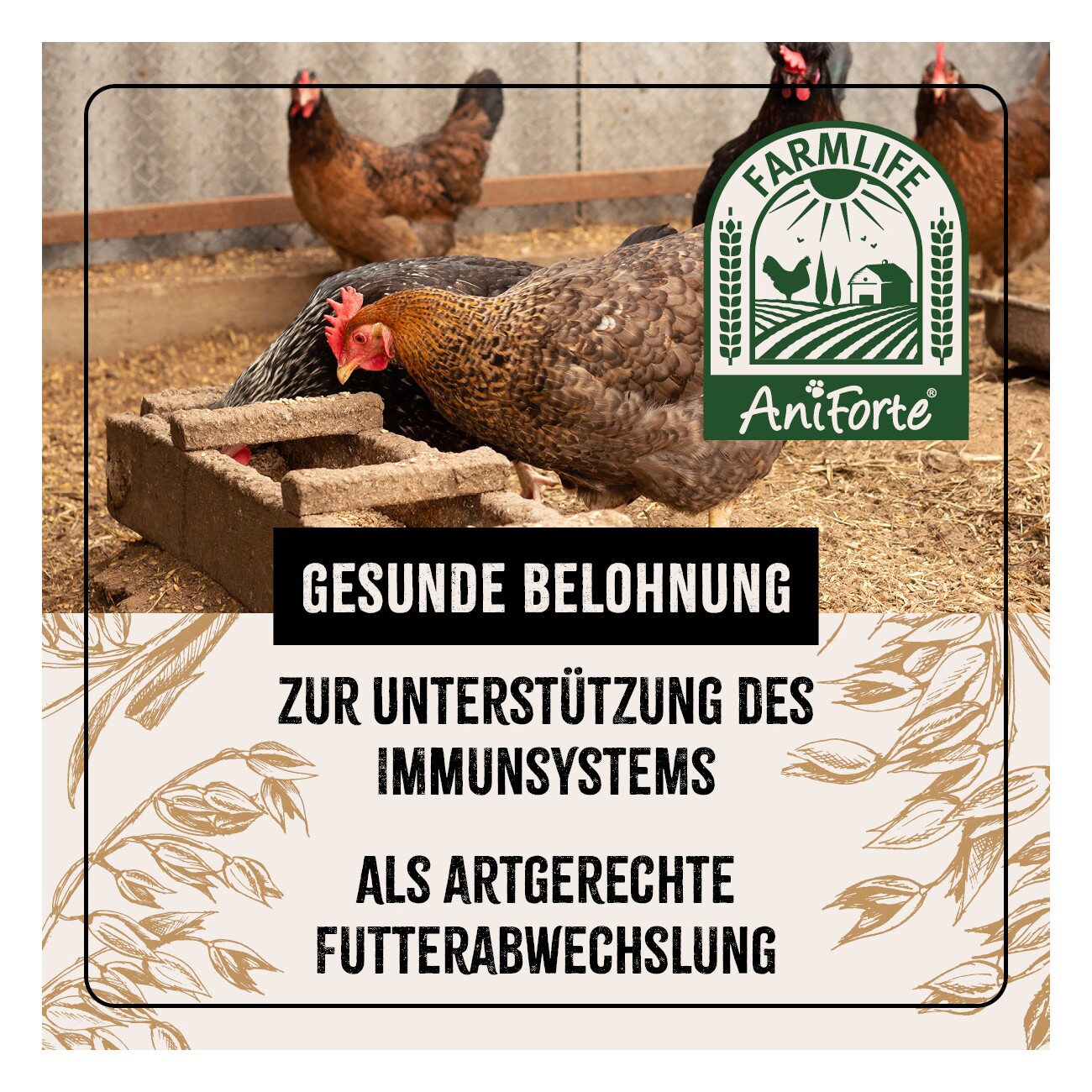 AniForte Hühnertraum 2,5kg