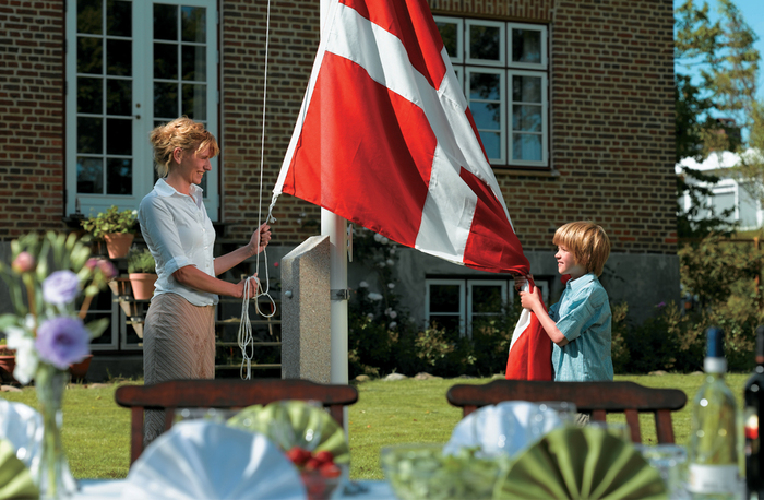 Dano Mast flagstang 12 meter
