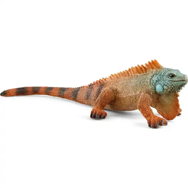 14854 Leguan