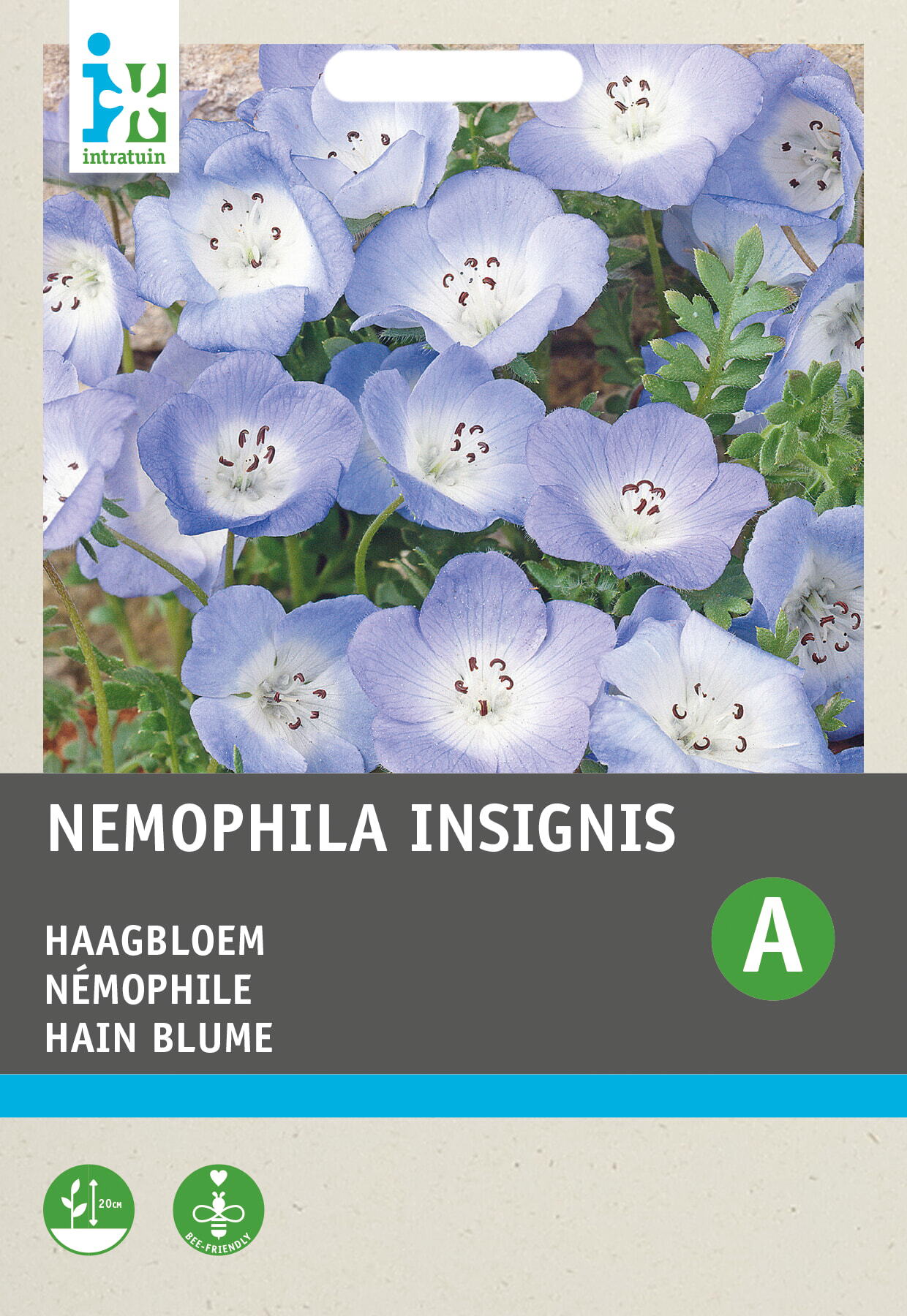 Intratuin bloemenzaad Bosliefje hemelsblauw (Nemophila insignis)