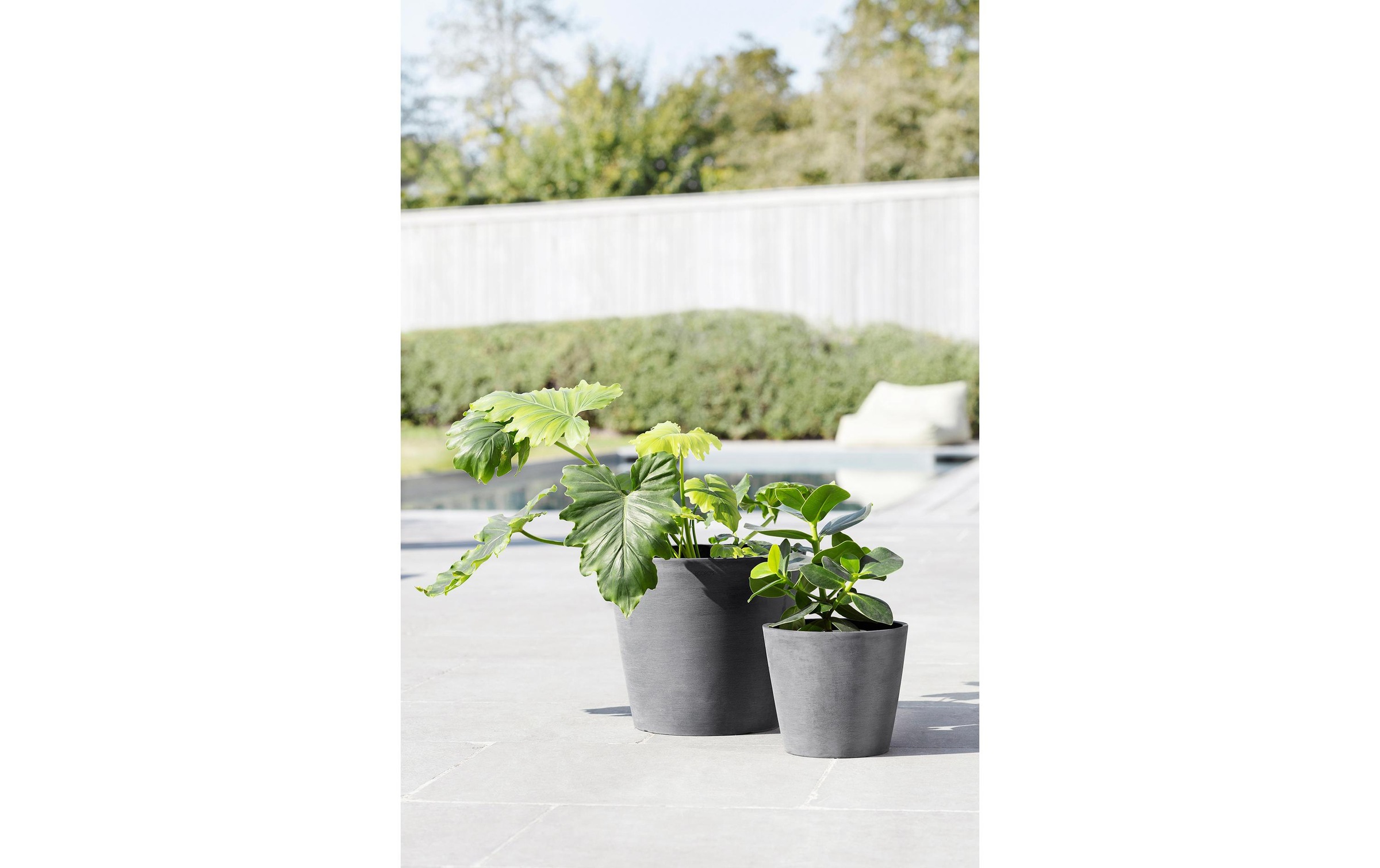 ECOPOTS Blumentopf »Amsterdam 50 G«