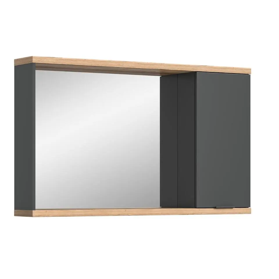 Hioshop Nuaro spiegelkast 1 deur grijs