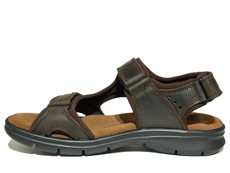 Panama Jack Salton Basics Napa Grass Marron/Bruin
