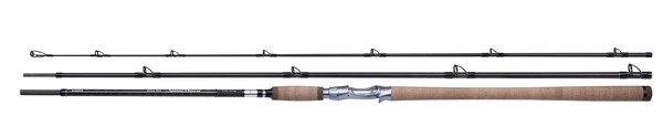 Canne Casting Shimano Speedmaster Salmon (3 Brins)