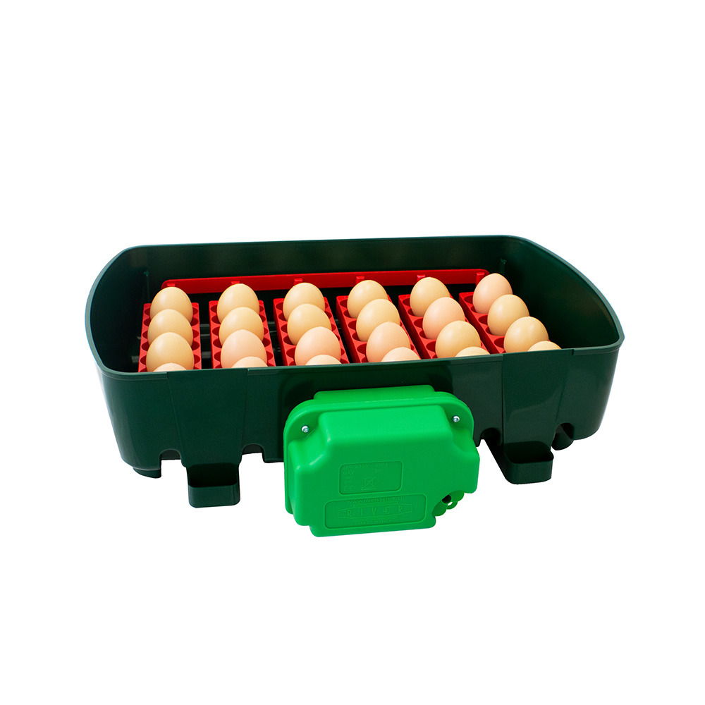 Couveuse automatique 24 oeufs - et 24