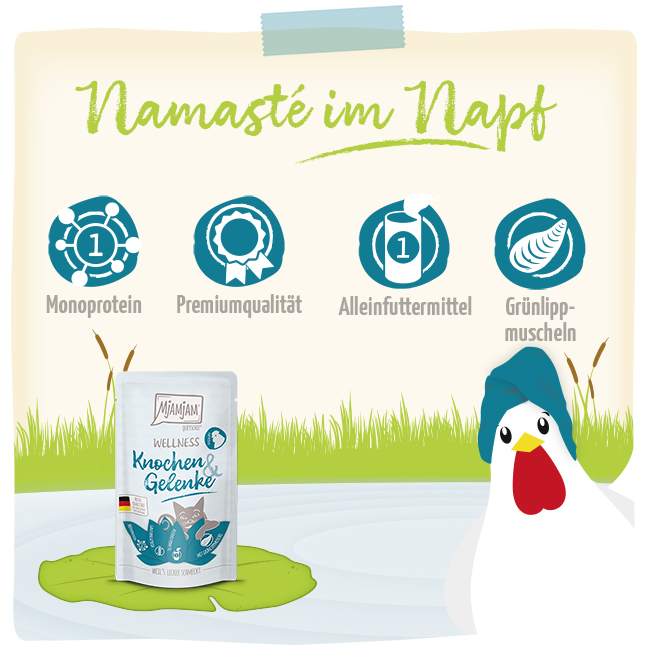 Wellness - Knochen & Gelenke - Huhn