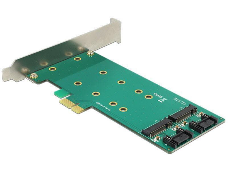 Delock Host Bus Adapter Controller PCI-ex4 - M.2, 2Port PCI Express Karte für M.2 Module
