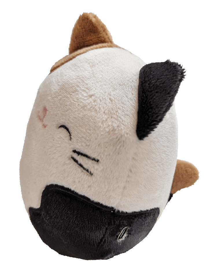 Squishmallows - Plush Bluetooth Speaker - Cameron (608092)