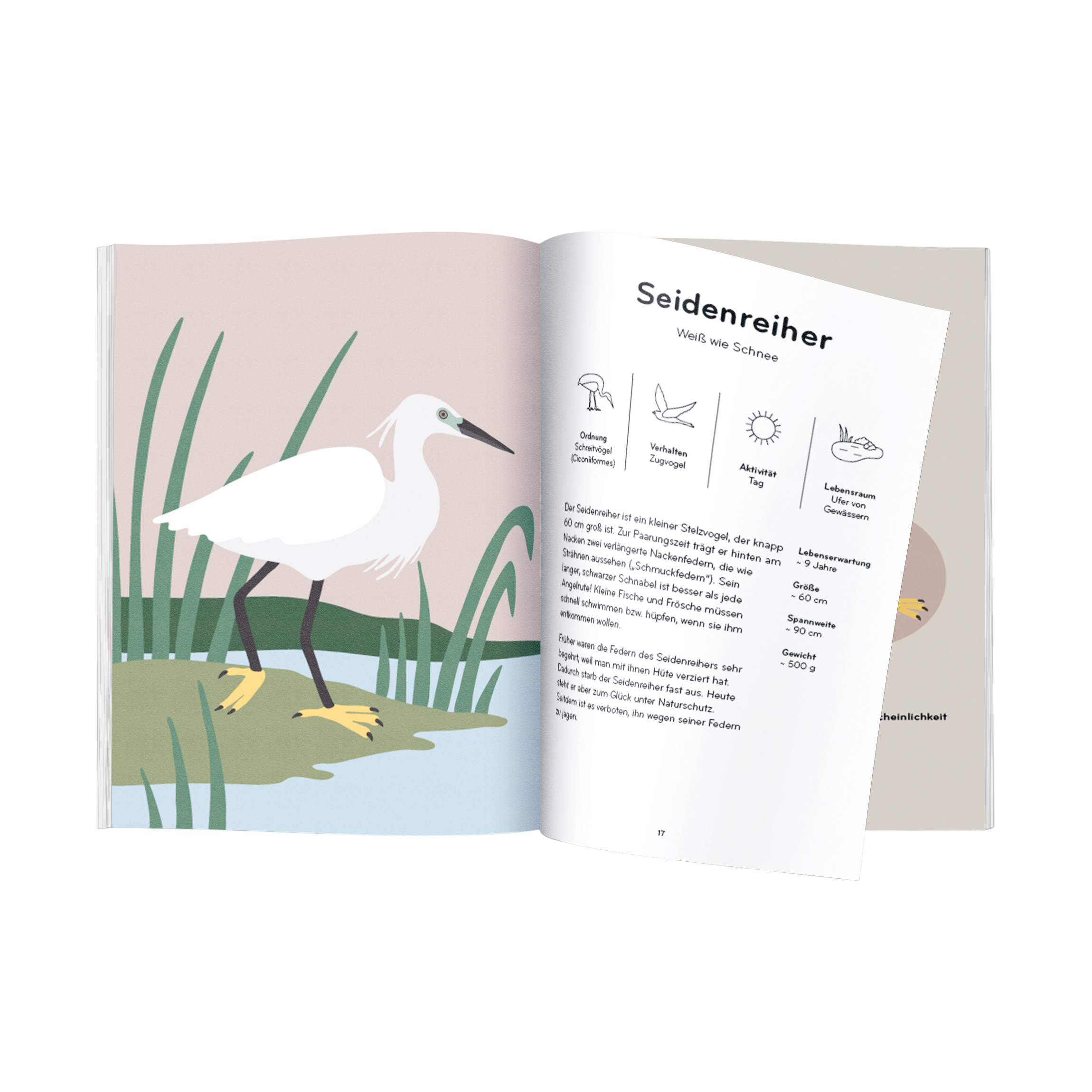 Buch Ornithorama DE