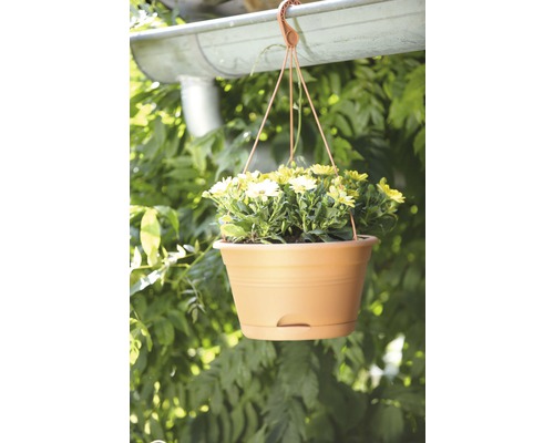 elho Green Basics hangende plantenbakset, kunststof, Ø 28 cm, H 18 cm, terracotta, inclusief houder en schotel