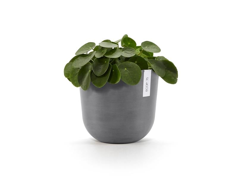 Ecopots Pflanzentopf Oslo 25 Grau Blumentopf