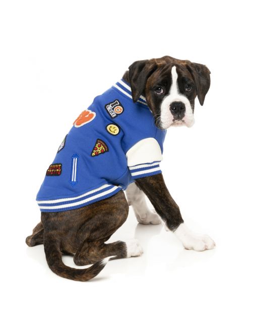 Fuzzyard The Letterman Jacket Blauw - Hondenkleding