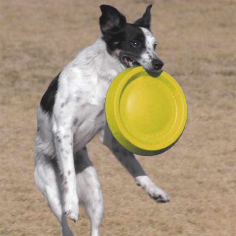 Jouet Frisbee Starmark Easy Glider Durafoam Disc