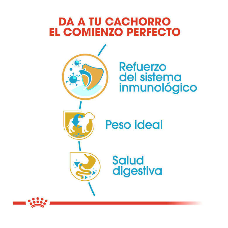 Ração Royal Canin para filhotes de Schnauzer Miniatura