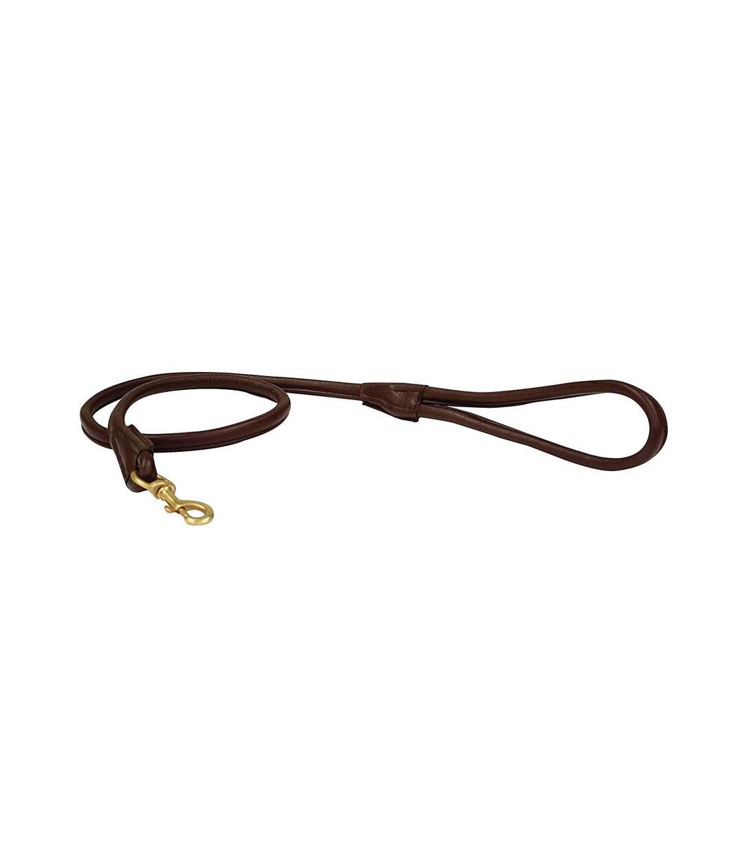Weatherbeeta - Laisse de chien (Marron) (Taille unique) - UTWB1257