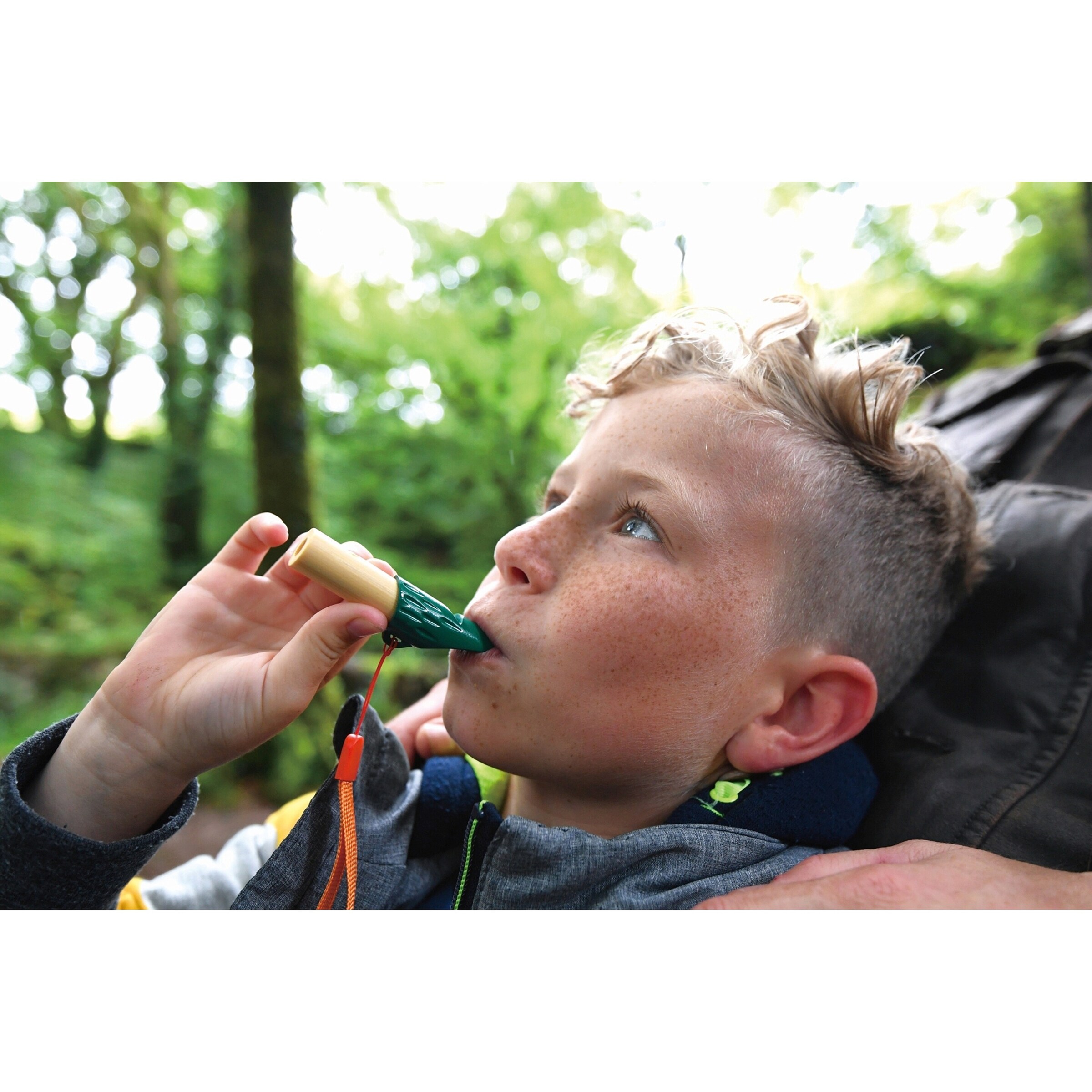 Hape Naturdetektiv-Set