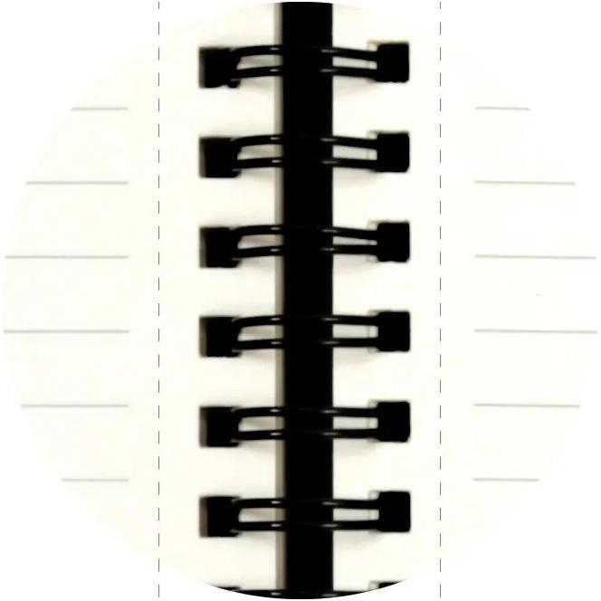 Notebook Léo ligné 15 x 21 cm - Visuel
