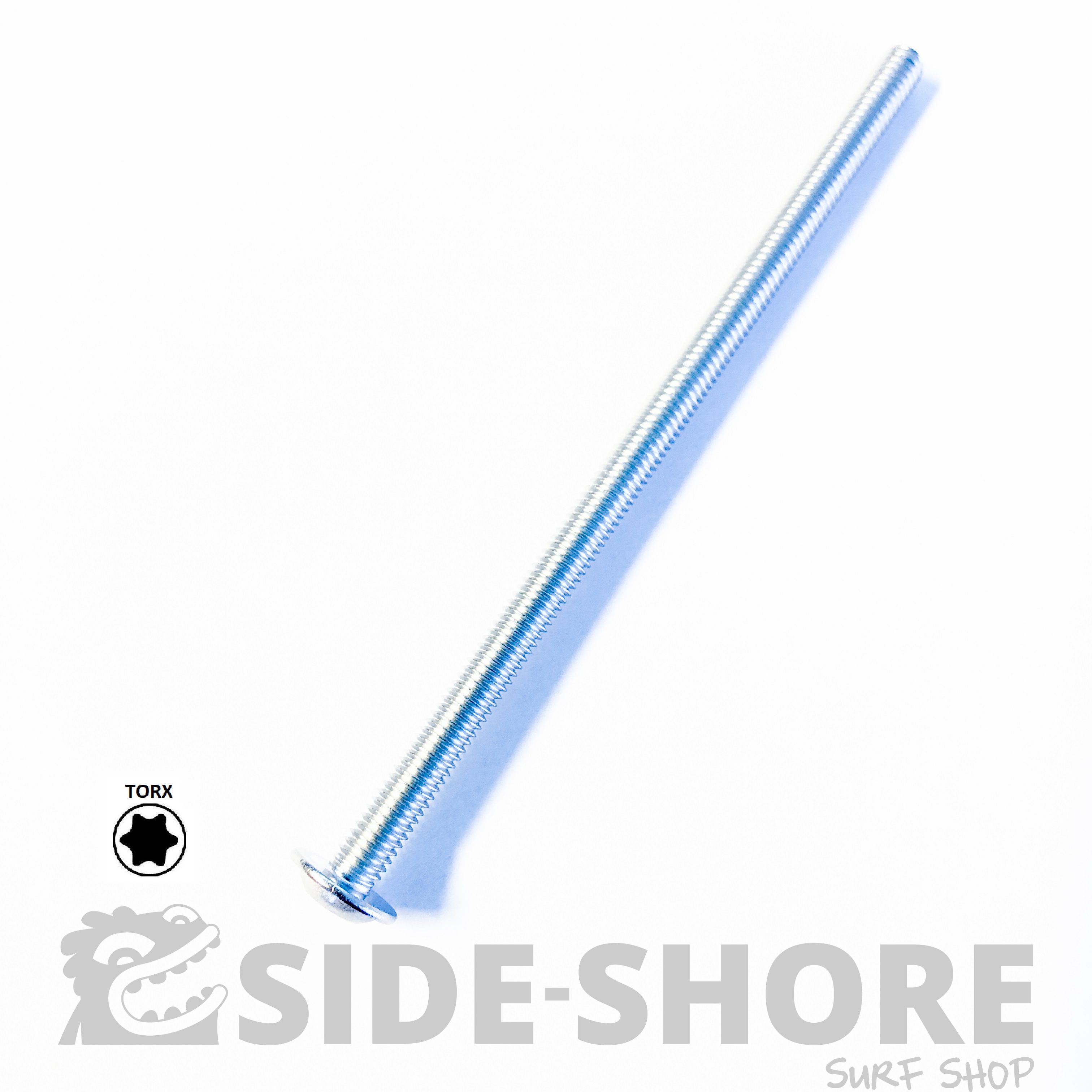 Side Shore Vis - Inox A4 - Torx - M6 / 100 mm