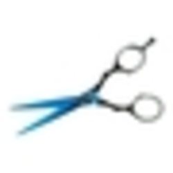 Tesoura Ibanez Nile Straight de 14 cm para estudantes de tosa de cães, com ponta muito fina para maior controle.