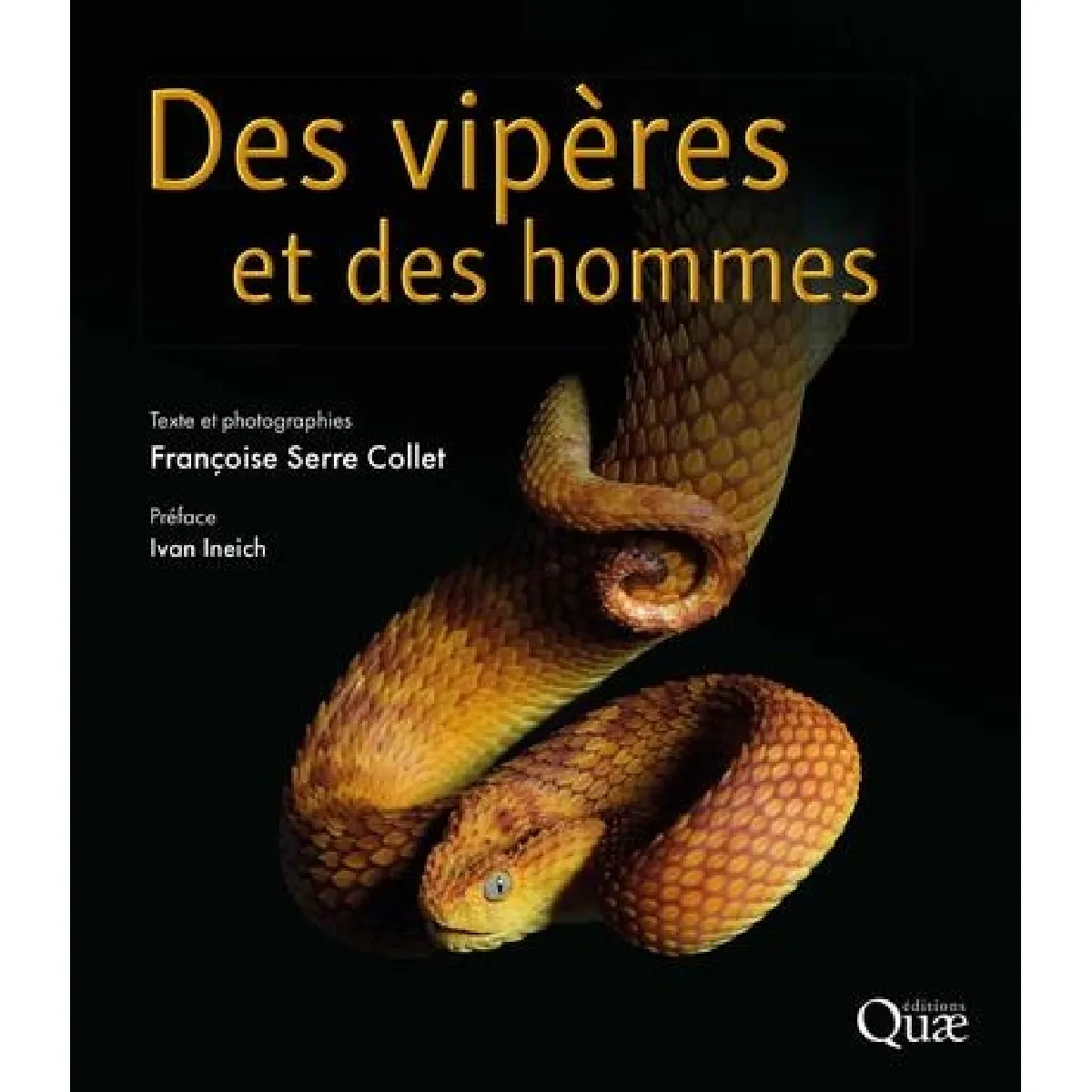 Des vipères et des hommes · Occasion