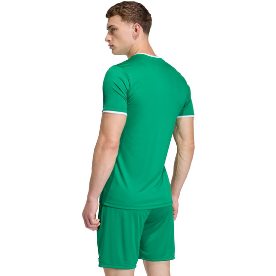 adidas Entrada 26 Trainingsset