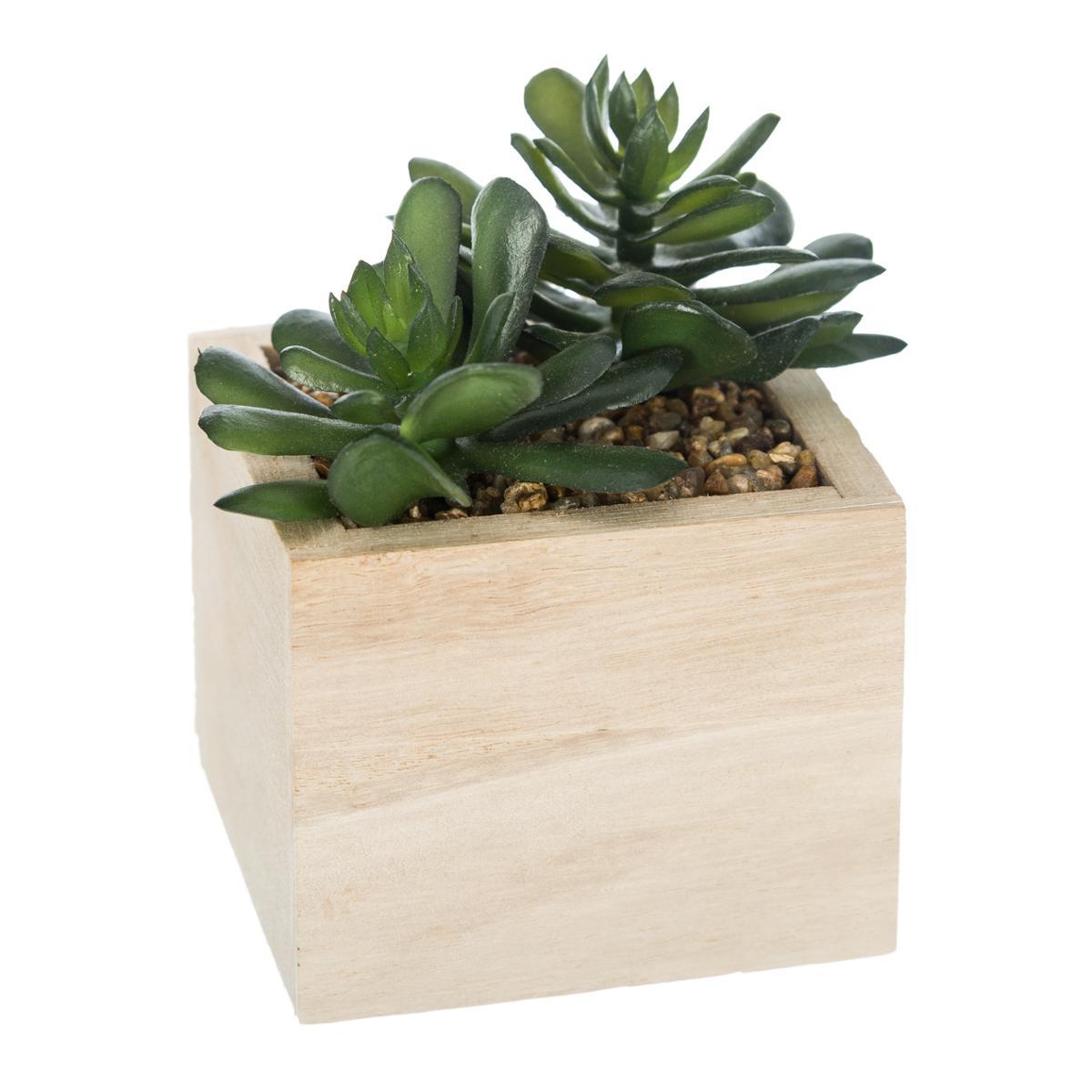 PLANTE VERTE BOIS CHIC H.14CM