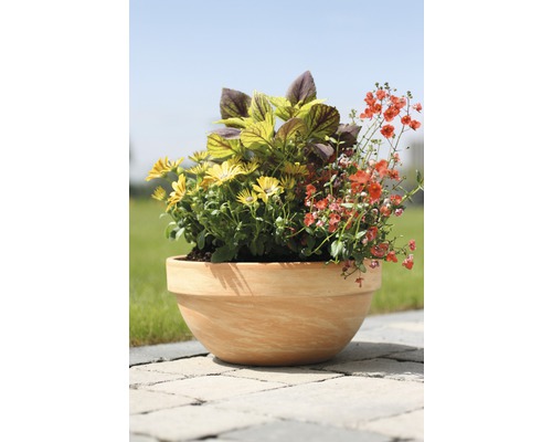 Levy plantenbak Ø 26 cm H 13 cm beige