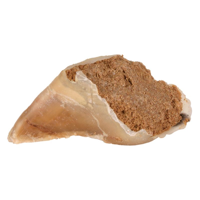 Pâté de viande Trixie