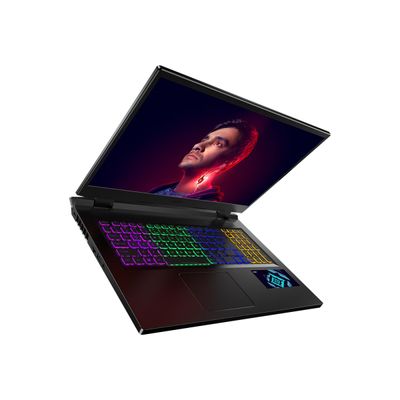 Acer Nitro 5 AN517-55 - PC portable 17.3 