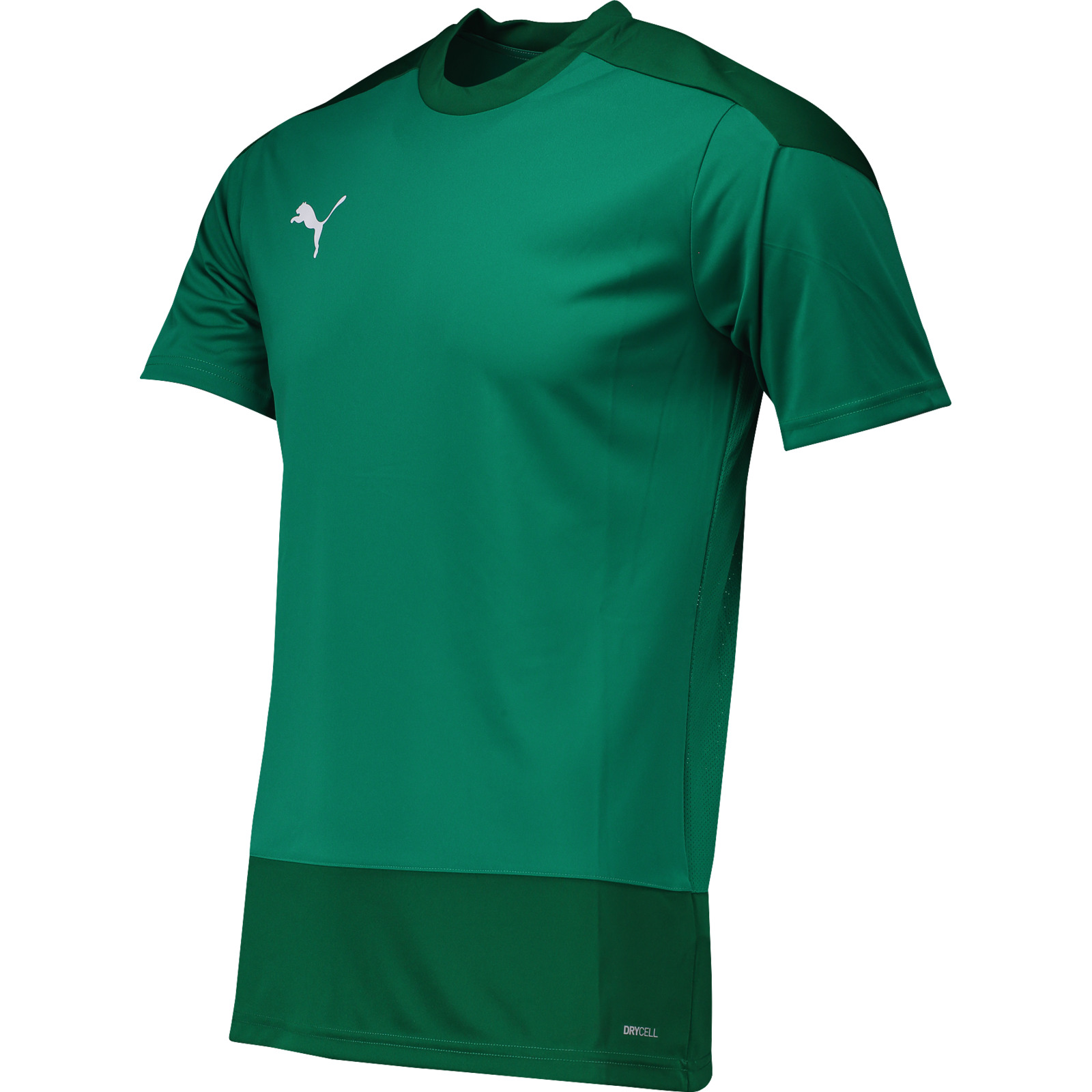 Puma Herren-T-Shirt team Goal M, grün