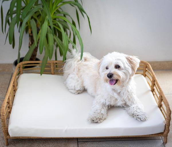 Dehner Lieblinge Kuschelbett Elton,