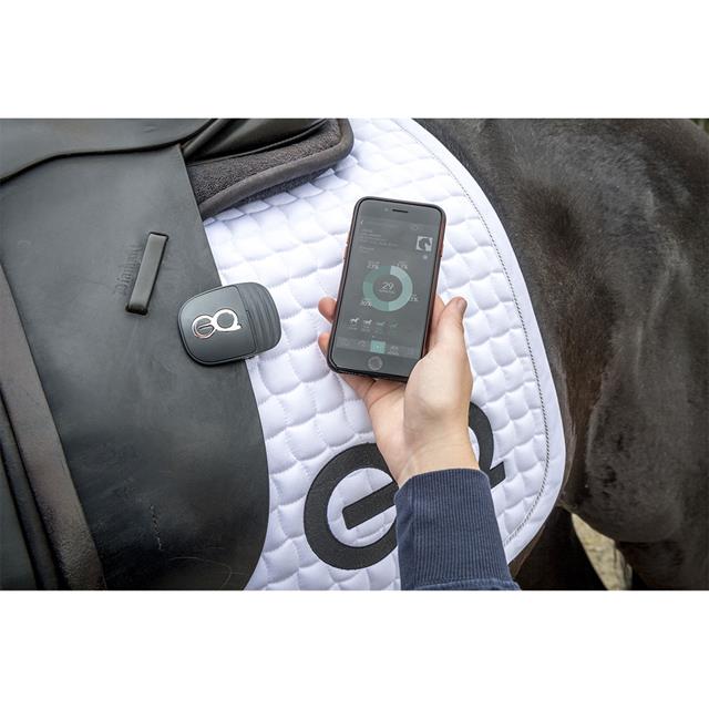Equestic Saddle Clip