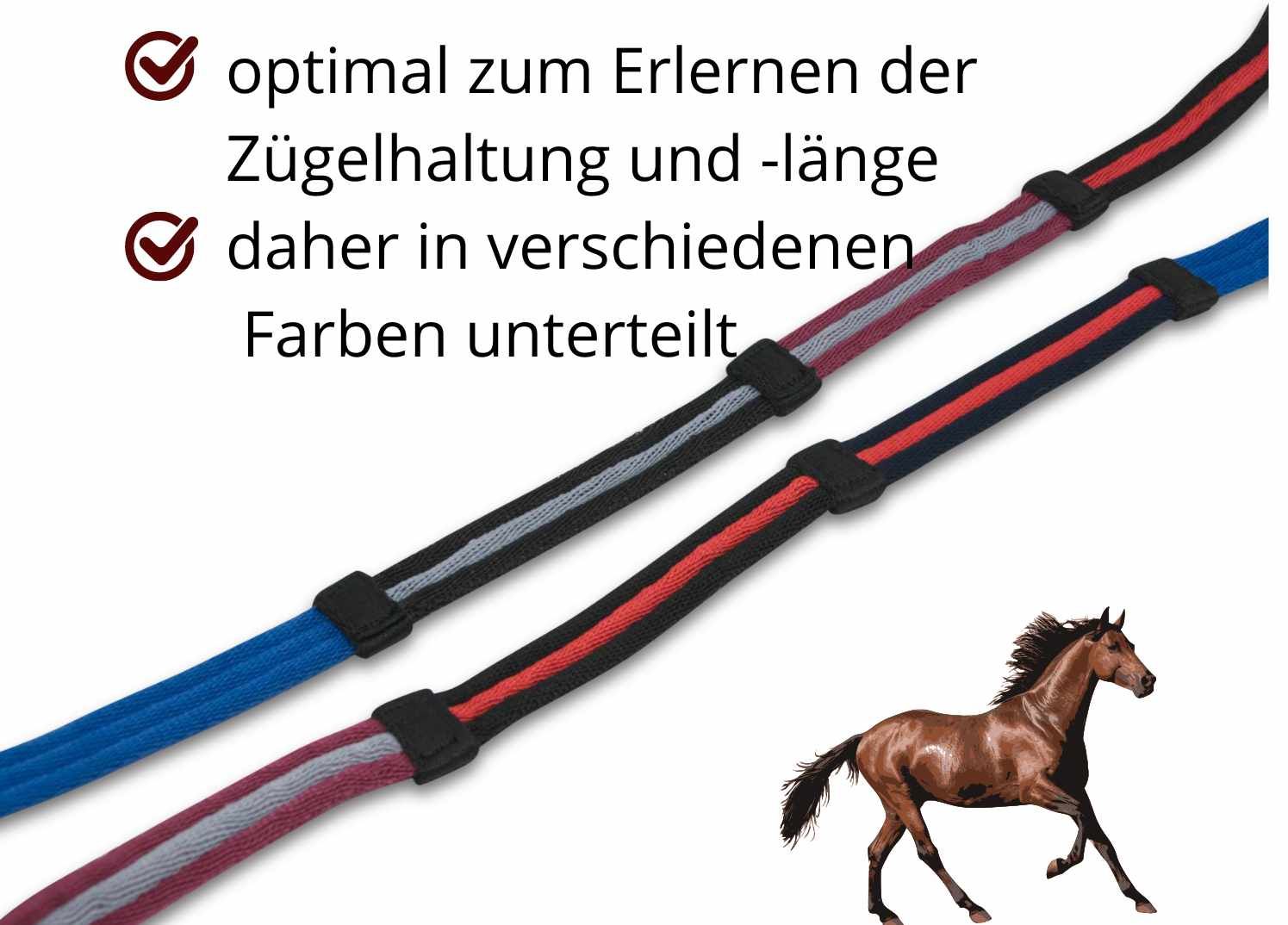 EKKIA Lehrzügel