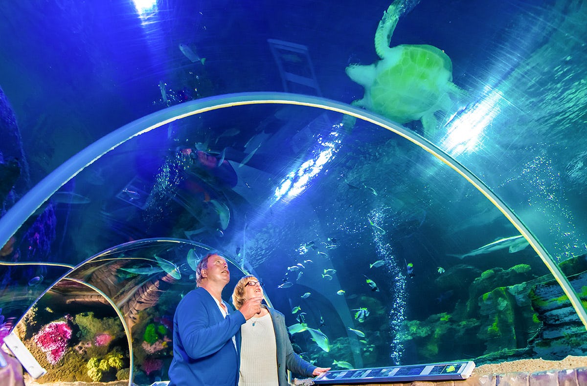 Sea Life Timmendorfer Strand