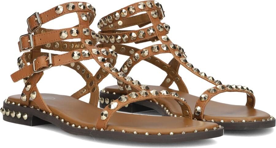 ASH Dames Play Maat: 41 Materiaal: Leer Kleur: Camel