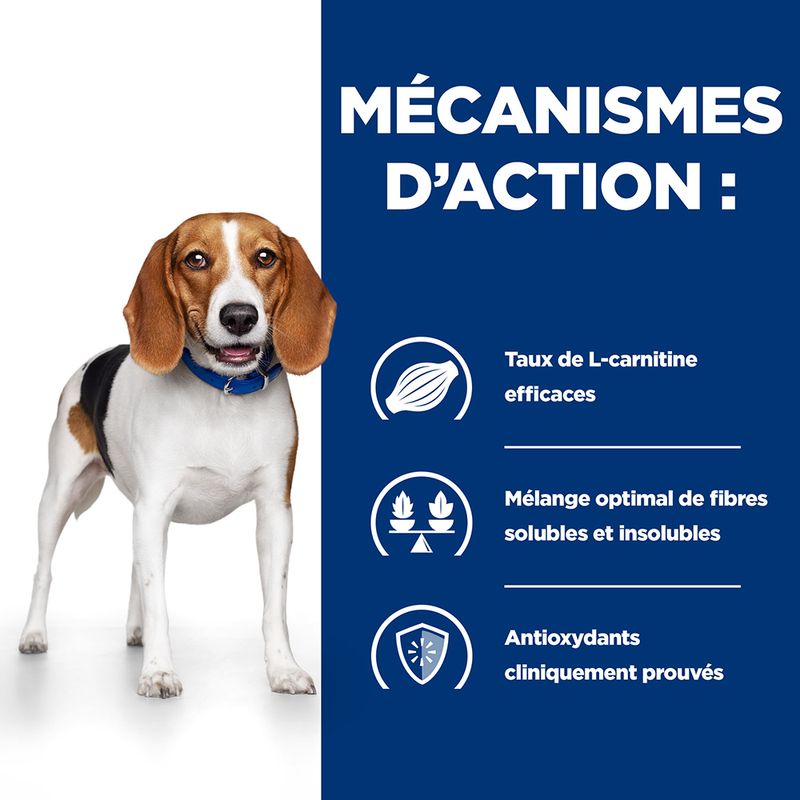 Hill's Prescription Diet Canine r/d Weight Reduction à Prix Discount | bitiba.fr