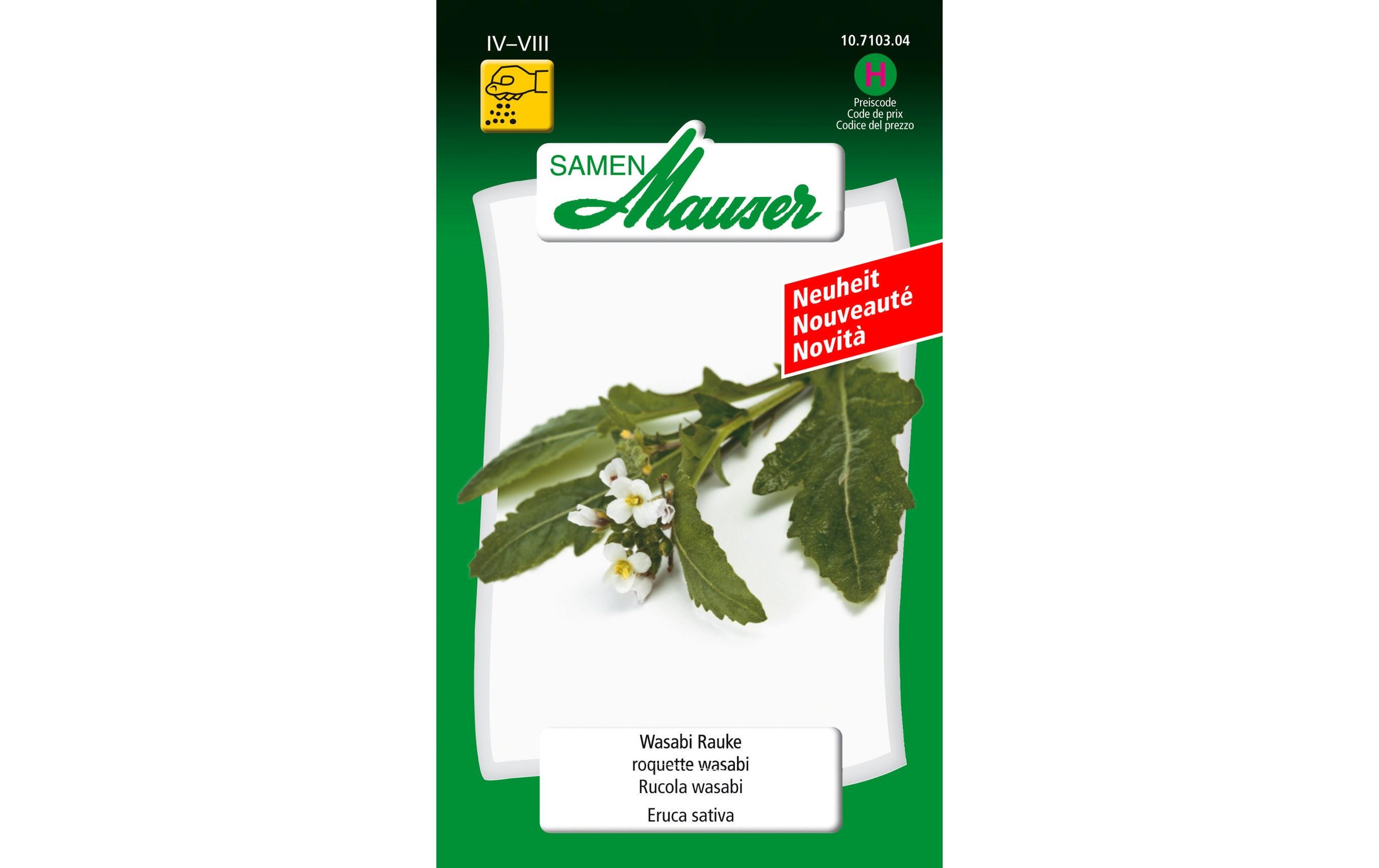 Samen Wasabi RaukeGemüsesamen