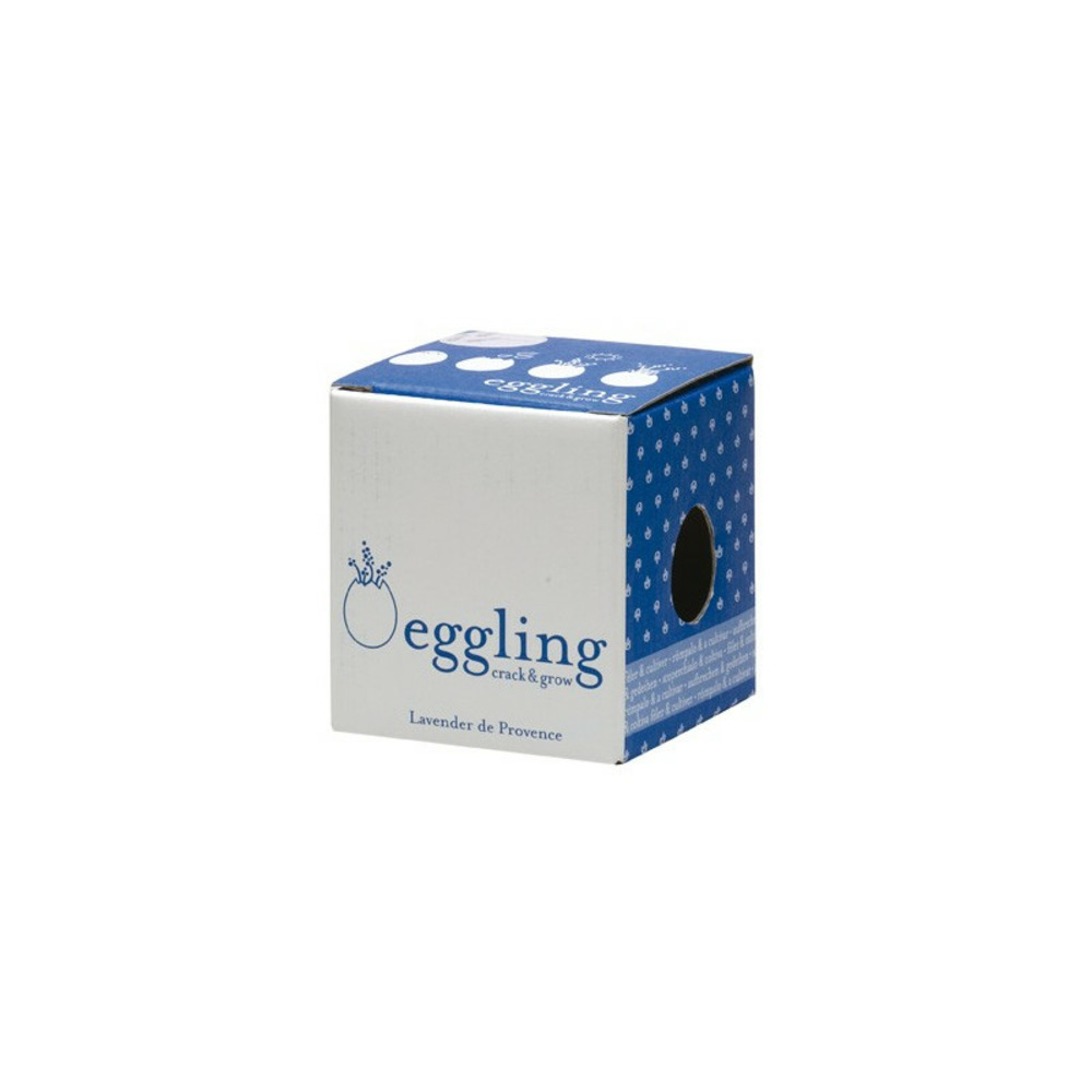 Oeuf kit lavande