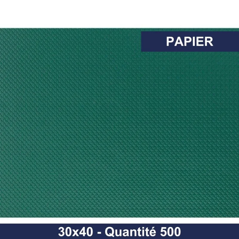 CGMP - Set de table papier- Vert - 30x40 - x500