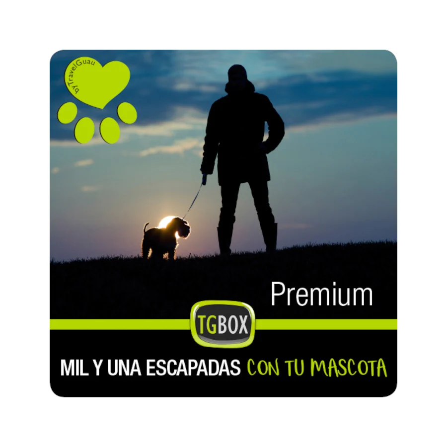 Tgbox Mil e Uma Escapadas com Seu Animal de Estimação PREMIUM