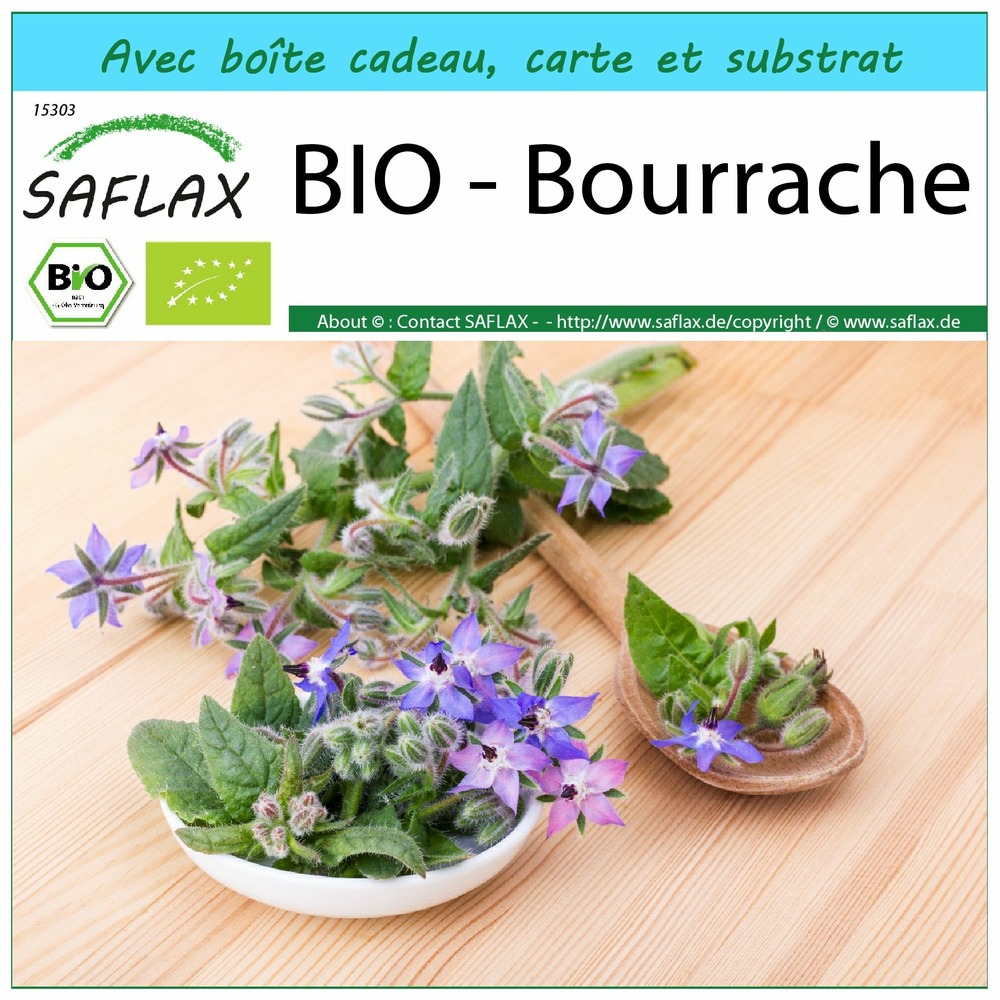 Kit cadeau - bio - bourrache - 40 graines - borago officinalis