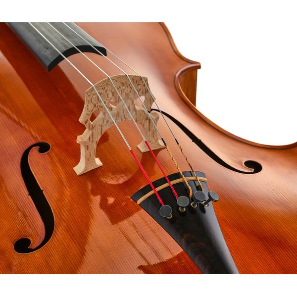 Luca Zerilli Cello Montagnana Roma 4/4