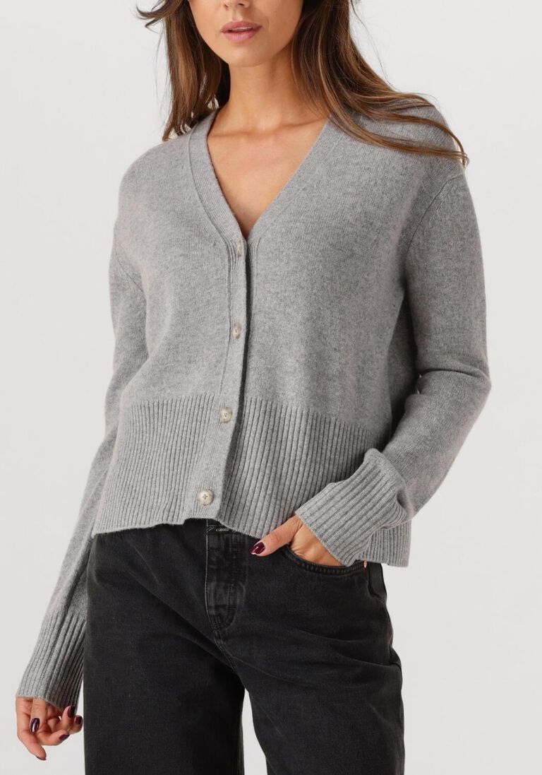 lichtgrijze closed trui v neck cardigan