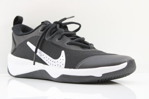 Nike Nike Omni Multi-Court Big Kids