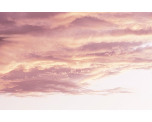 Alpina Fine Colors conserveermiddelvrije Clouds in Rosé 2,5 L