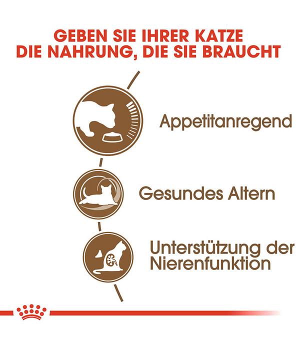 ROYAL CANIN® Trockenfutter für Katzen Ageing