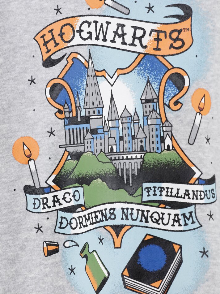 Moletom estampado H.Potter© &™ WARNER BROS - Cinza Médio