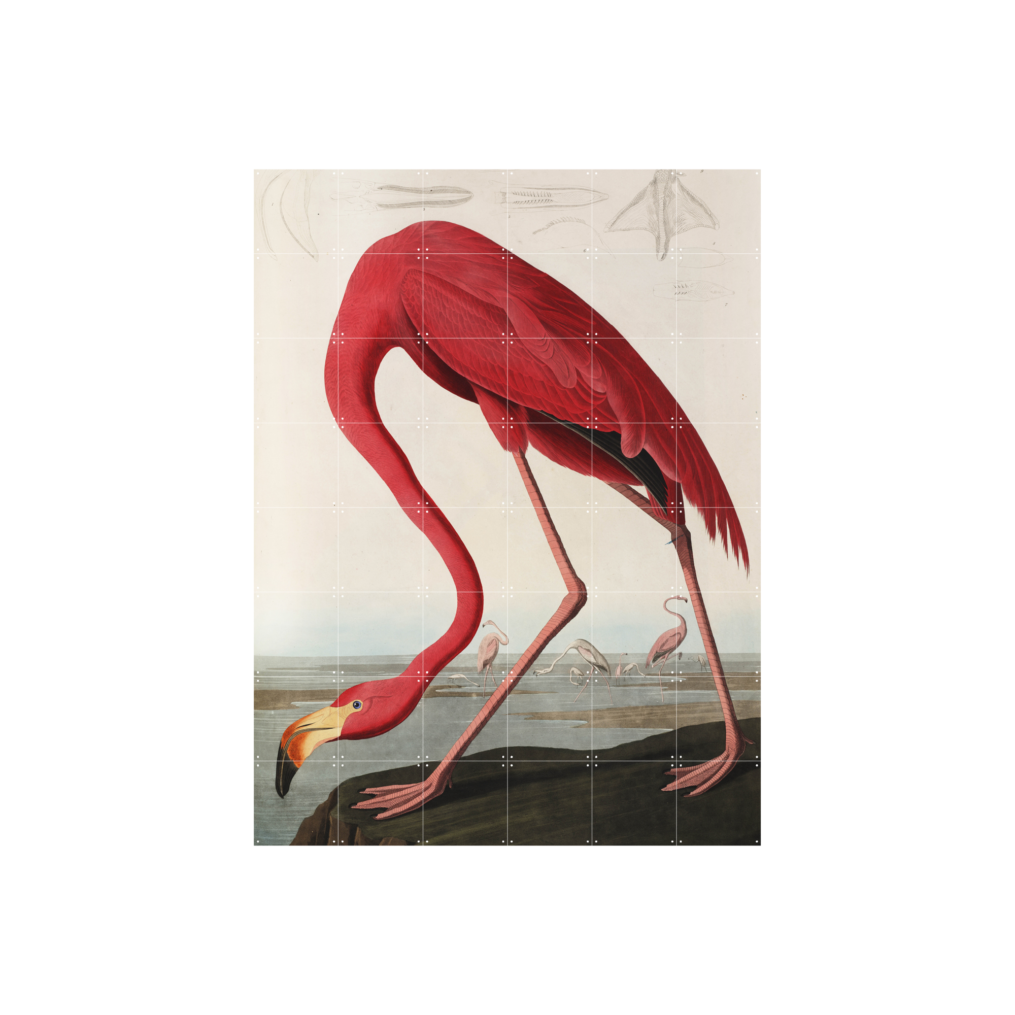 IXXI Flamingo 120 x 160 cm