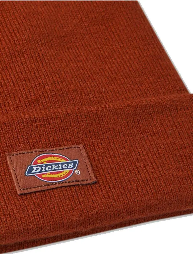 Dickies Gibsland Beanie - Huer Hovedbeklædning | SkatePro